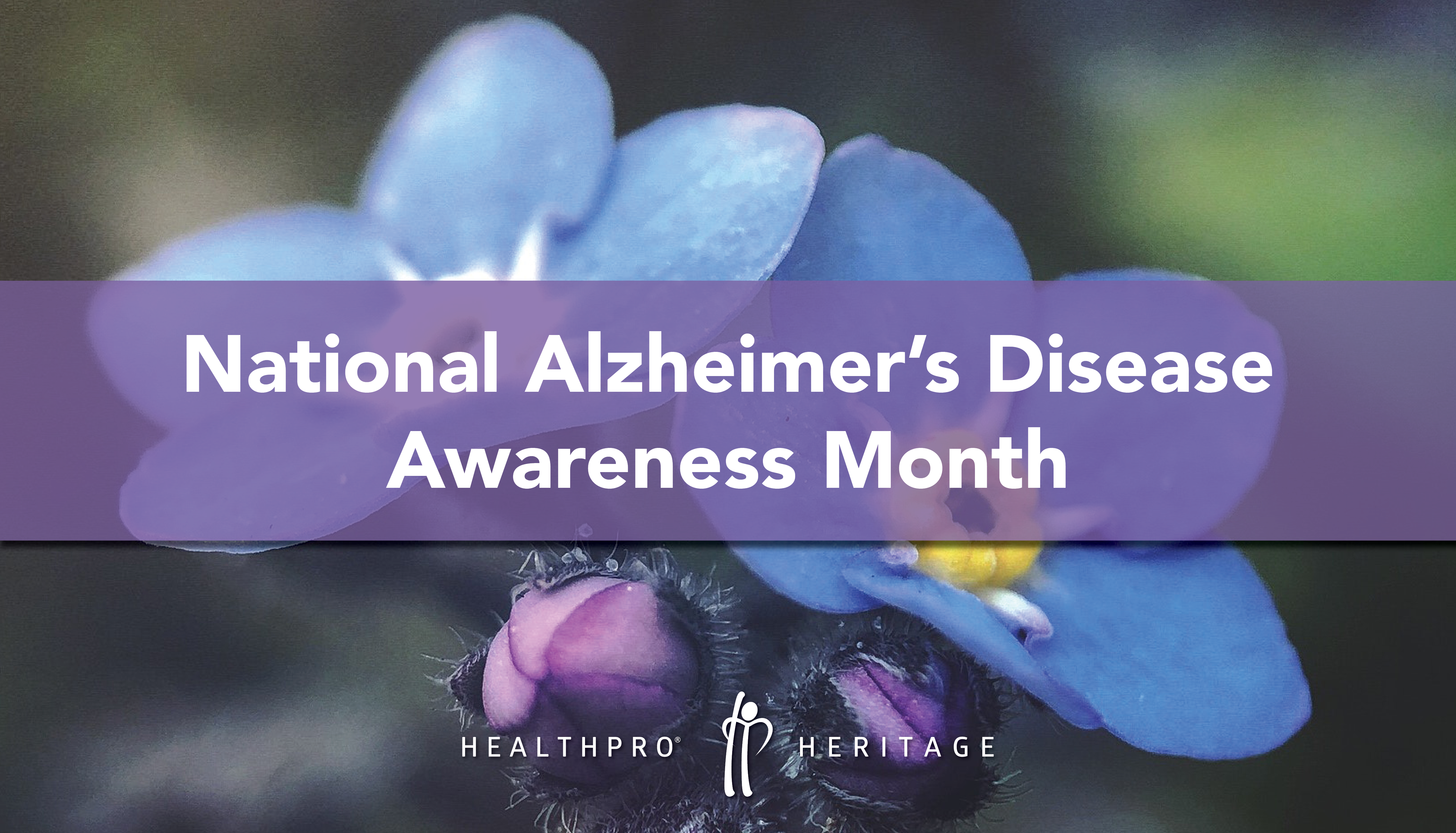 Alzheimer's Awareness & Advocacy